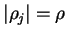 $ \vert\rho_j\vert=\rho\;$