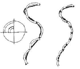 Figure 6 for Salingaros-Tejada